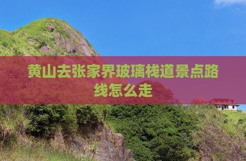 黄山去张家界玻璃栈道景点