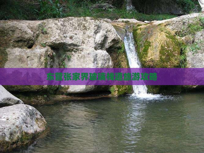 东营去张家界玻璃栈道团体旅游