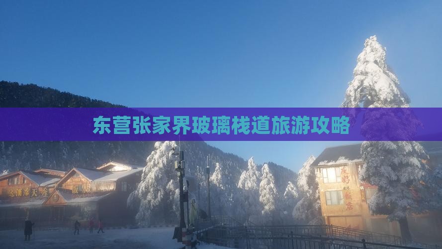 东营去张家界玻璃栈道团体旅游