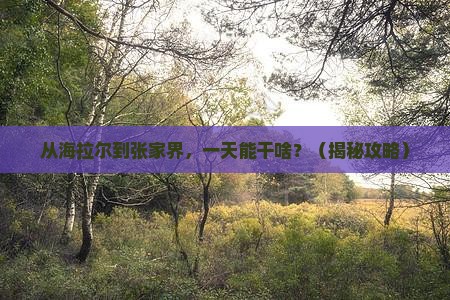 海拉尔到张家界一日