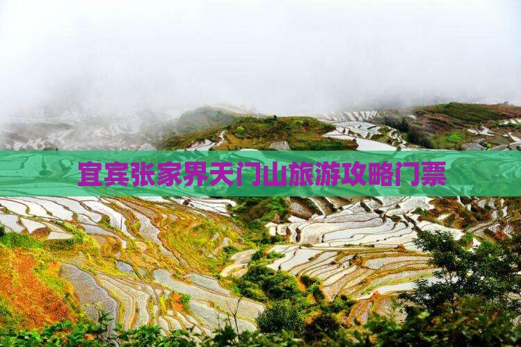 宜宾去张家界天门山门票