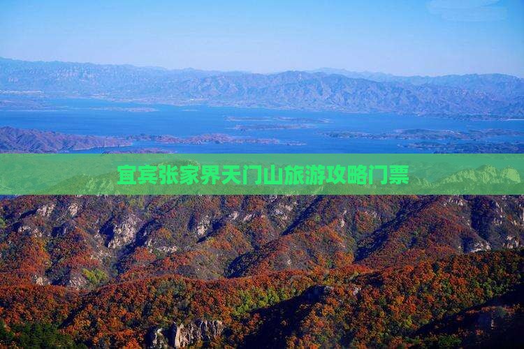 宜宾去张家界天门山门票
