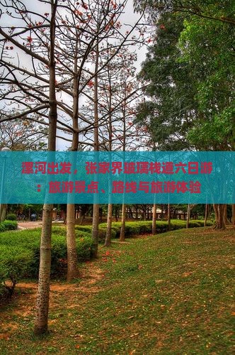 漯河到张家界玻璃栈道六日游