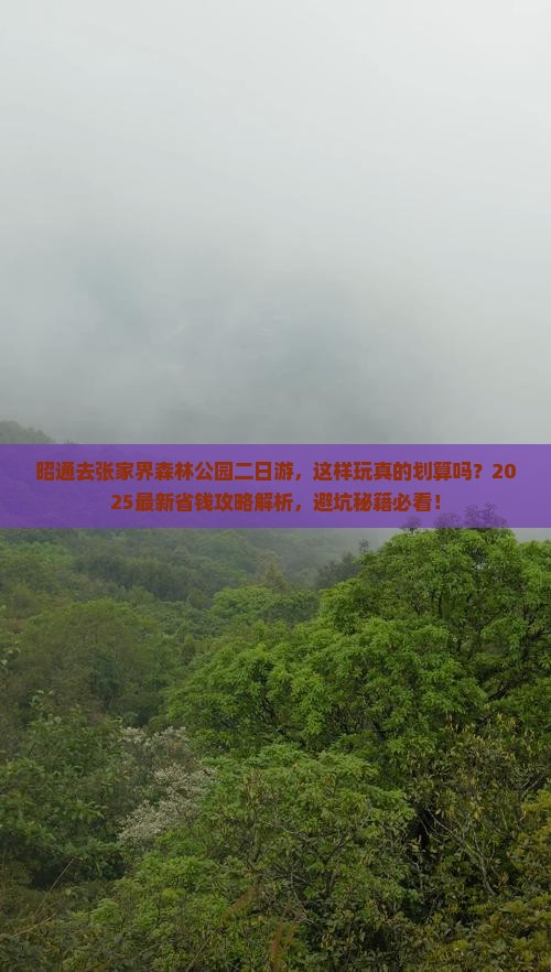 昭通去张家界森林公园二日游
