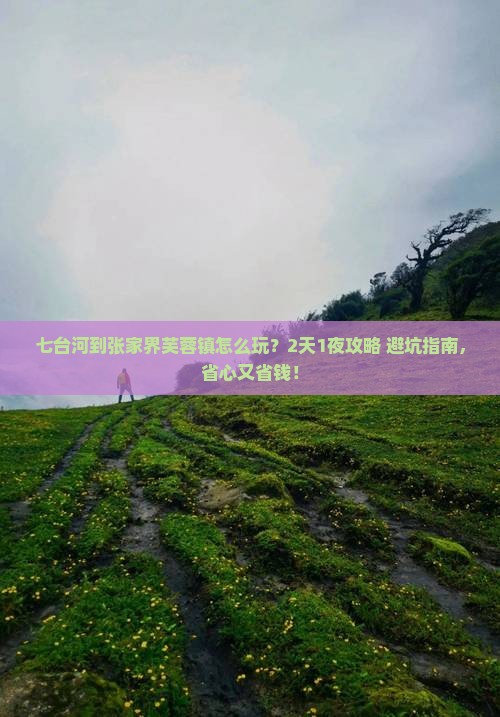七台河到张家界芙蓉镇门票