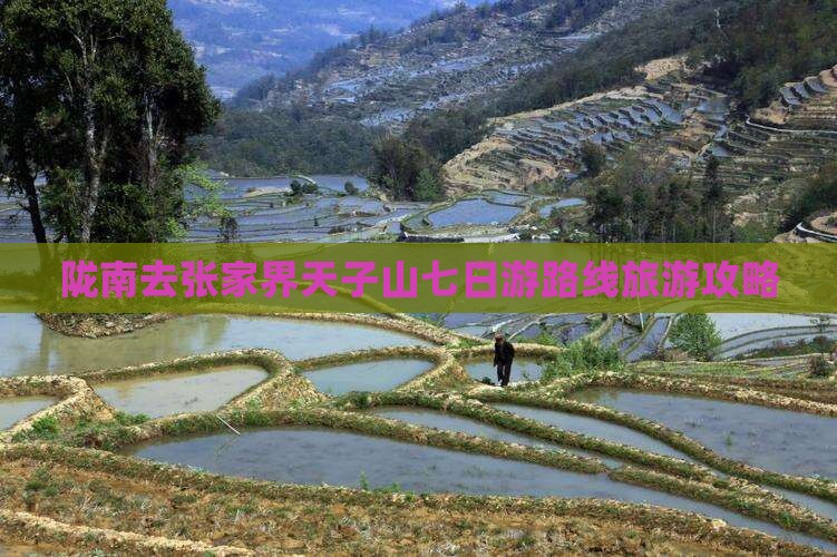 陇南去张家界天子山七日游