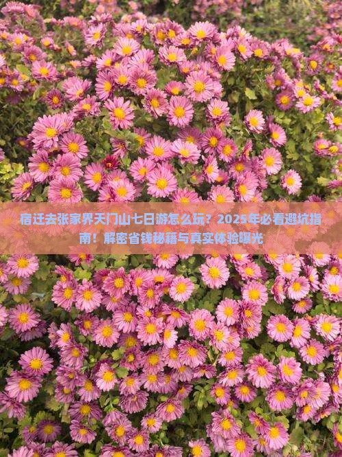 宿迁去张家界天门山七日游