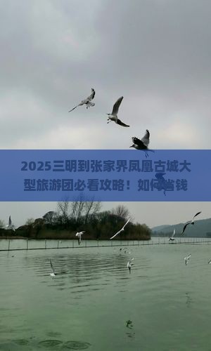 三明到张家界凤凰古城大型旅游团