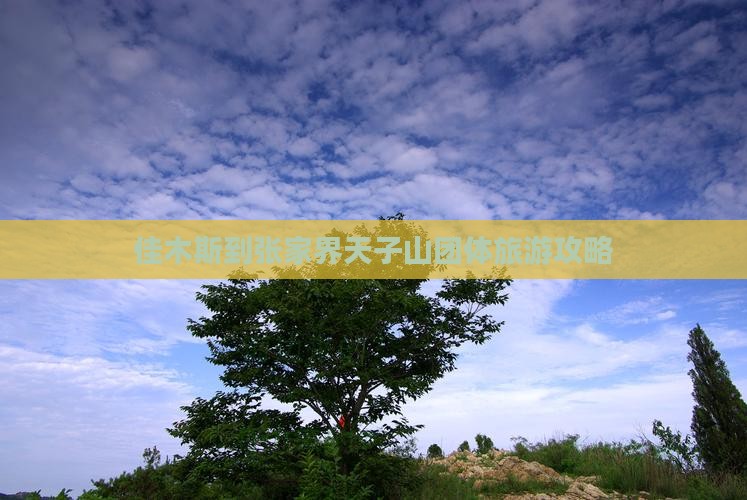 佳木斯到张家界天子山团体旅游