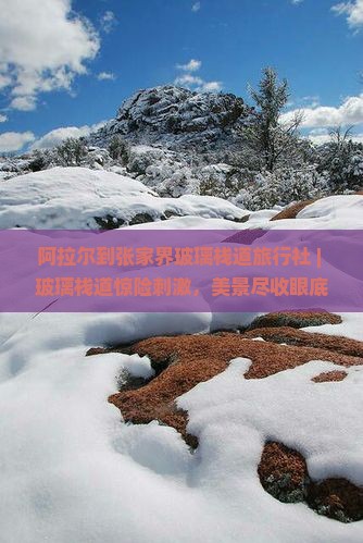 阿拉尔到张家界玻璃栈道旅行社