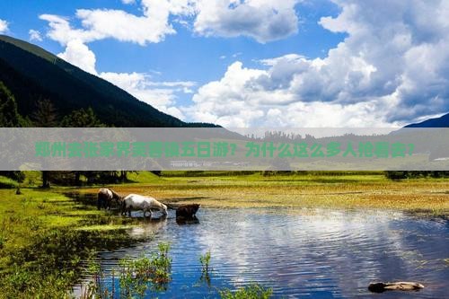 郑州去张家界芙蓉镇五日游