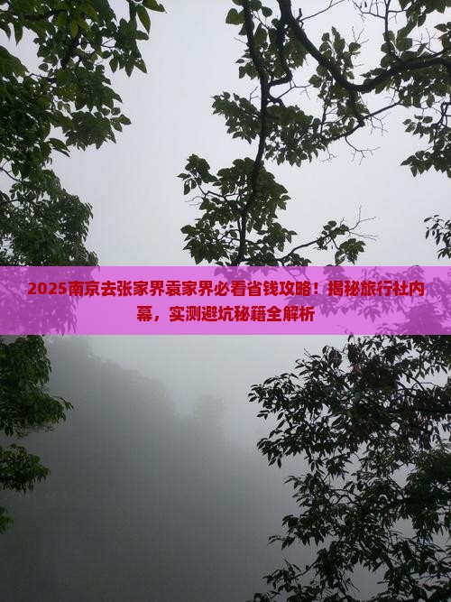 南京去张家界袁家界旅行社