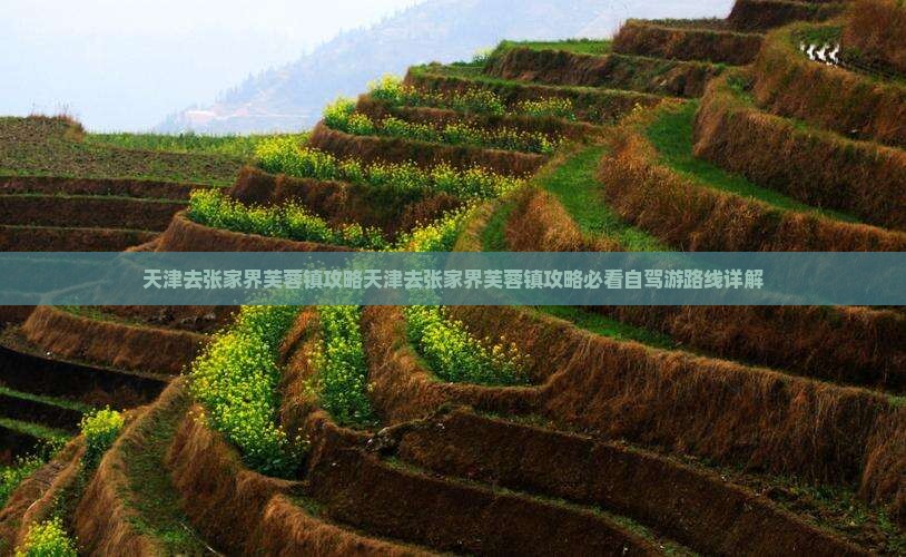 天津去张家界芙蓉镇攻略