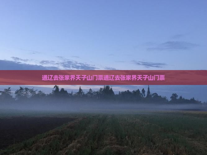 通辽去张家界天子山门票