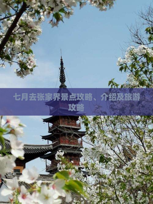七月去张家界景点