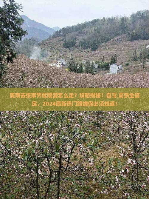 陇南去张家界武陵源攻略