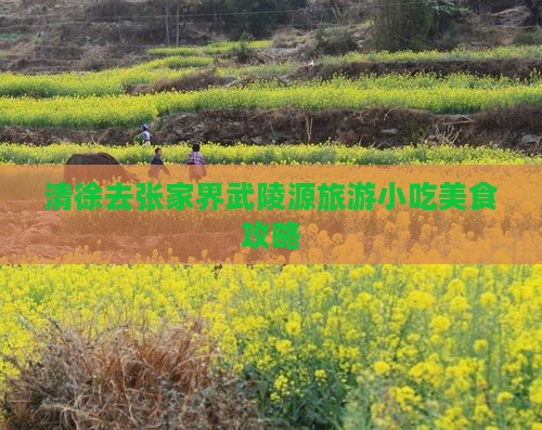 清徐去张家界武陵源旅游小吃