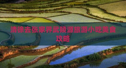 清徐去张家界武陵源旅游小吃