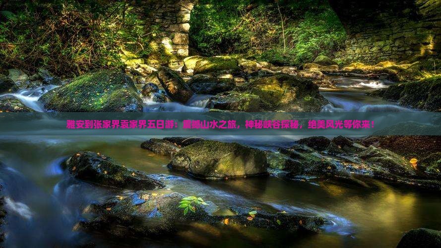 雅安到张家界袁家界五日游