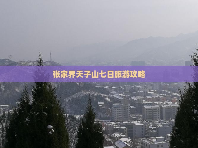 晋中去张家界天子山七日游