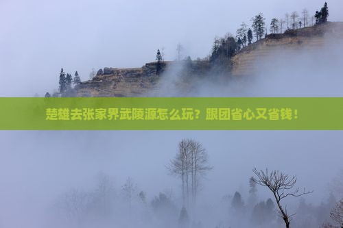 楚雄去张家界武陵源大型旅游团