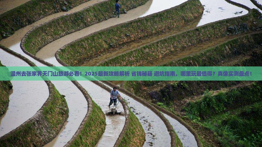 温州去张家界天门山哪里玩