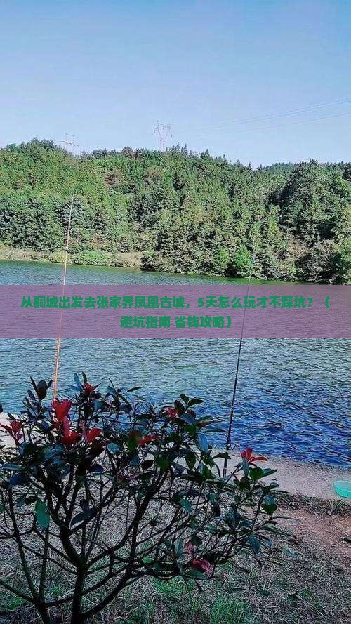 桐城到张家界凤凰古城旅游