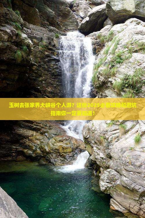 玉树去张家界大峡谷个人游