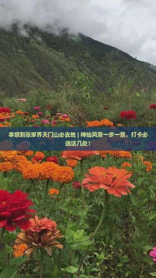 孝感到张家界天门山必去地