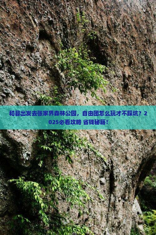 和县到张家界森林公园自由团