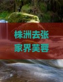 株洲去张家界芙蓉镇三日游