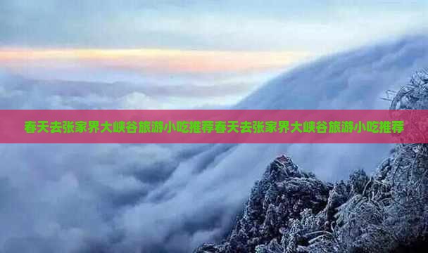 春天去张家界大峡谷旅游小吃