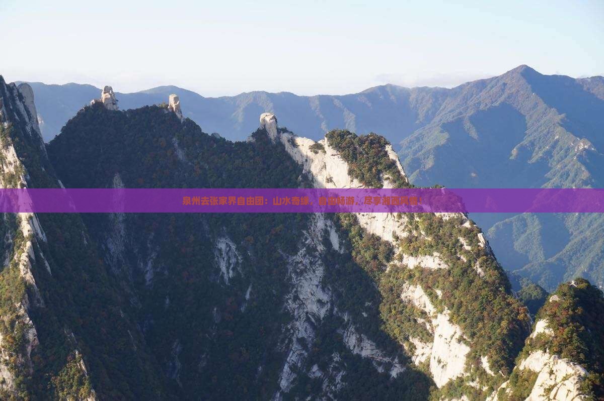 泉州去张家界自由团