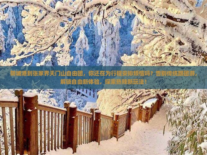 防城港到张家界天门山自由团