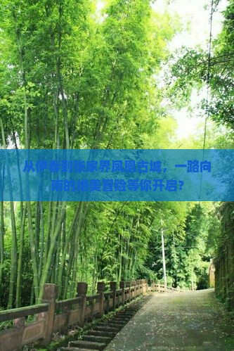 伊春到张家界凤凰古城哪里玩