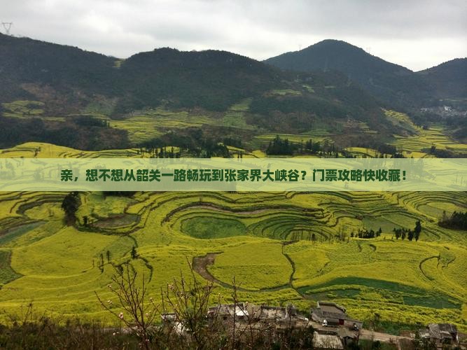 韶关到张家界大峡谷门票