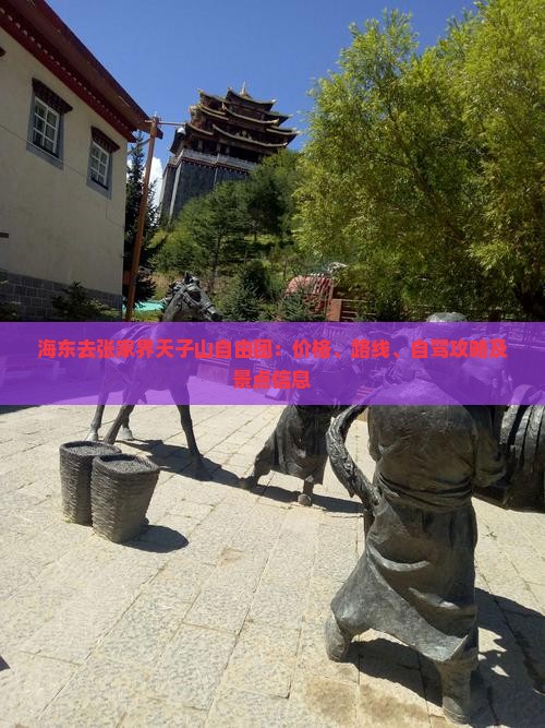 海东去张家界天子山自由团