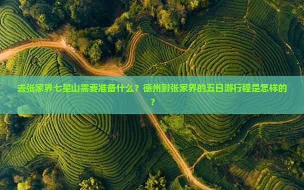 德州去张家界七星山五日游