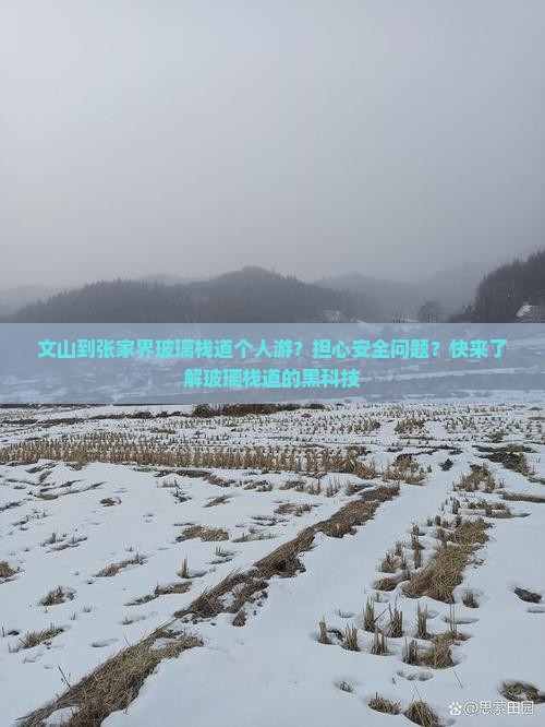 文山到张家界玻璃栈道个人游 文山到张家界玻璃栈道个人游