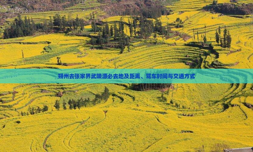 朔州去张家界武陵源必去地