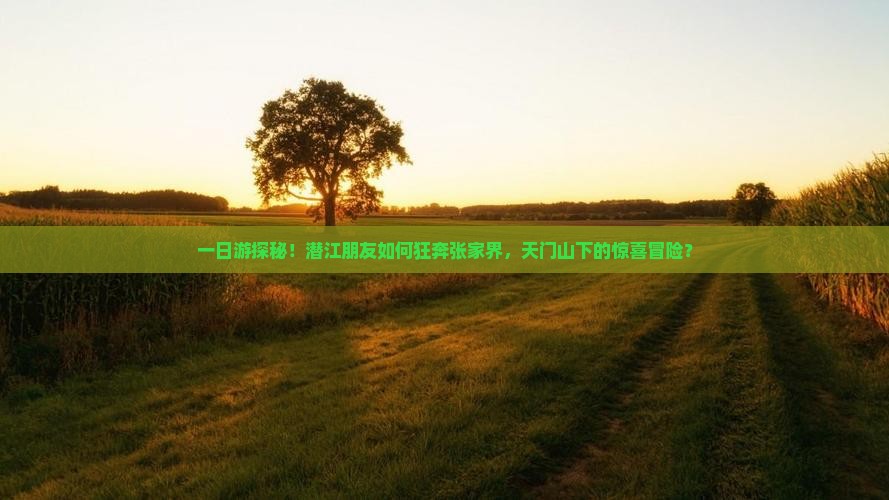 潜江到张家界天门山一日