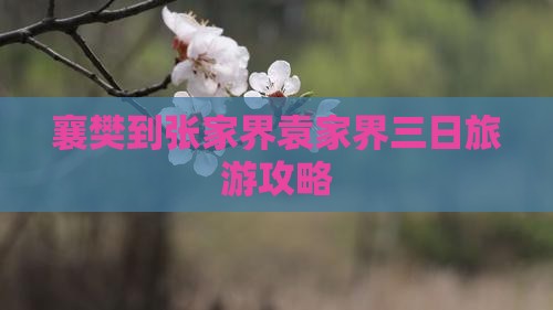 襄樊去张家界袁家界三日游