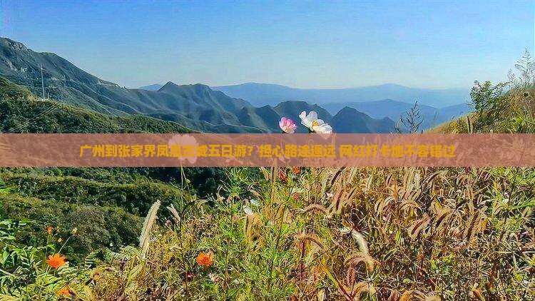 广州到张家界凤凰古城五日游