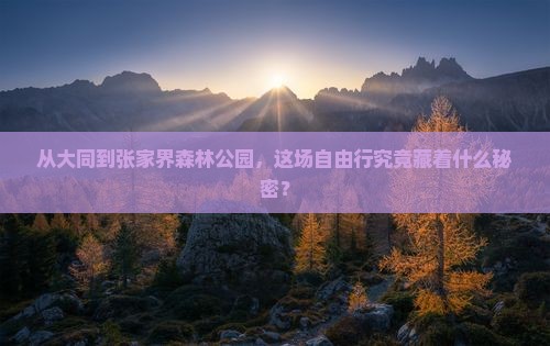 大同去张家界森林公园自由团