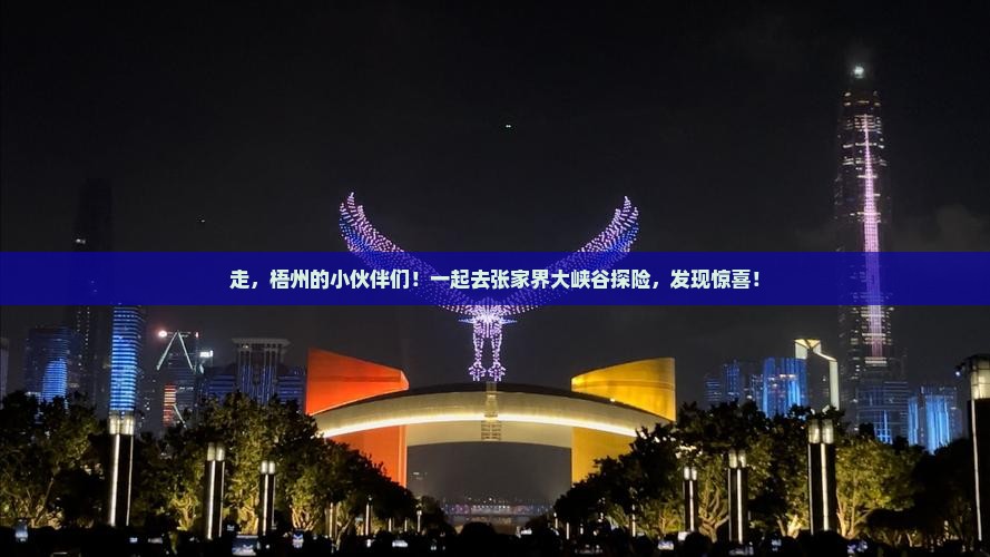 梧州去张家界大峡谷团体旅游