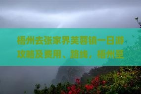 梧州去张家界芙蓉镇一日