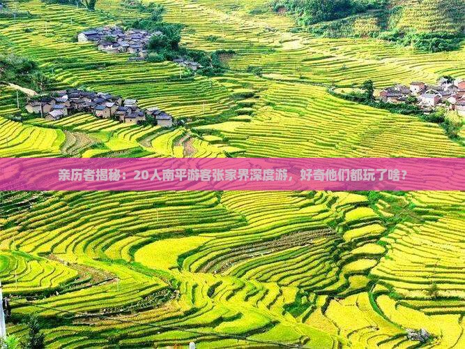南平去张家界大型旅游团 南平去张家界大型旅游团