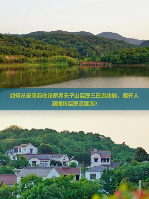 安阳去张家界天子山三日游