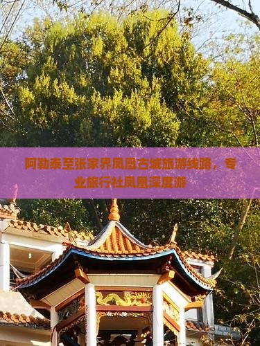 阿勒泰去张家界凤凰古城旅行社
