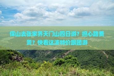 保山去张家界天门山四日游